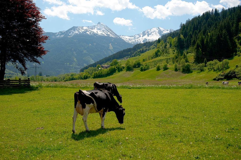 Vila Zittrauerhof - Urlaub Am Bauernhof Gastein Bad Hofgastein Exteriér fotografie