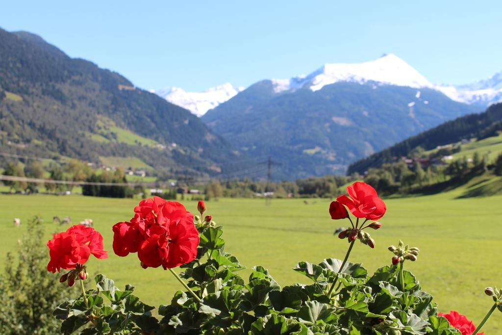 Vila Zittrauerhof - Urlaub Am Bauernhof Gastein Bad Hofgastein Exteriér fotografie