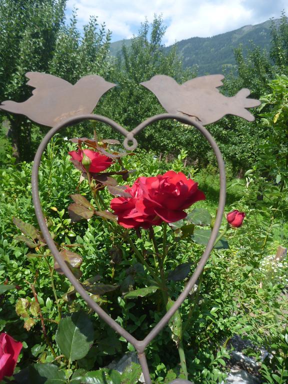 Vila Zittrauerhof - Urlaub Am Bauernhof Gastein Bad Hofgastein Exteriér fotografie