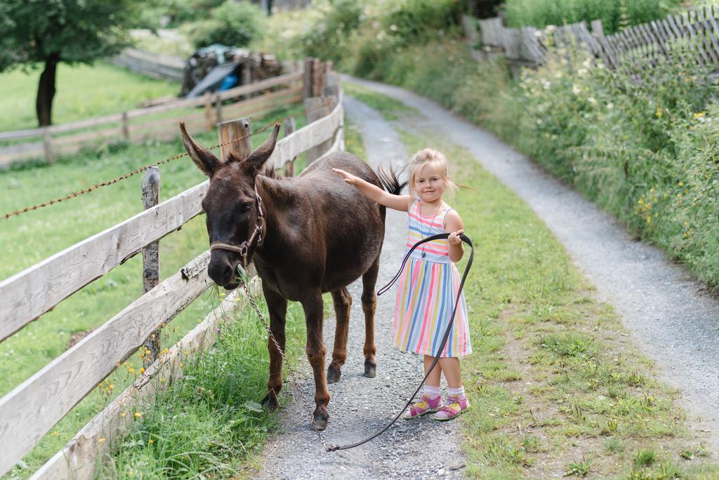 Vila Zittrauerhof - Urlaub Am Bauernhof Gastein Bad Hofgastein Exteriér fotografie